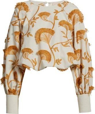 Ciebon Lenny Embroidered Long Sleeve Crop Top in White Multi at Nordstrom, Size Medium