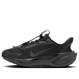 Nike (WMNS) Nike Pegasus Easyon Black Anthracite FQ7844-001