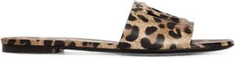 Dolce & Gabbana Mujer, Zapatos, Marr&oacute;n, Talla: 36 EU