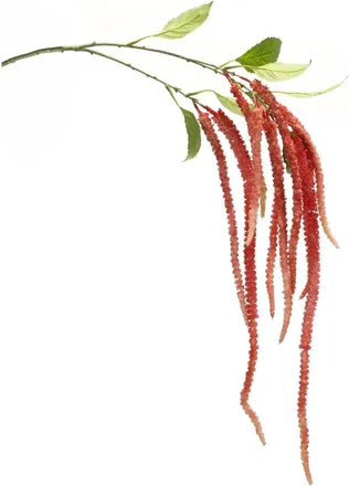 Melrose International Set Of 4 Amaranthus Floral Stem