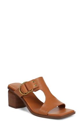 Franco Sarto Roux Slide Sandal in Caramel at Nordstrom, Size 9.5