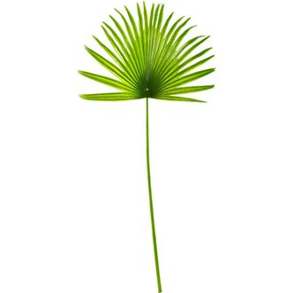 Nearly Natural 33-in Fan Palm Artificial Spray Plant in Green at Nordstrom