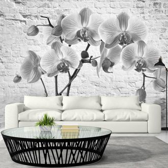 Artgeist Fotomurale - Orchid In Shades Of Gray - 300x210
