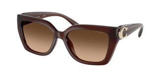 Coach HC8408F CW202 Asian Fit 584174 Womens Sunglasses Brown Size 57