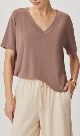 Splendid Kacey V-Neck Short Sleeve T-Shirt in Wicker Beige at Nordstrom, Size X-Small