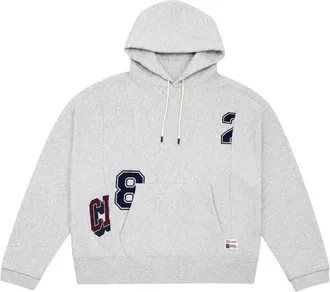 Champion Hoodies & sweatvesten, Heren, Grijs, L, Sweatshirts & Hoodies