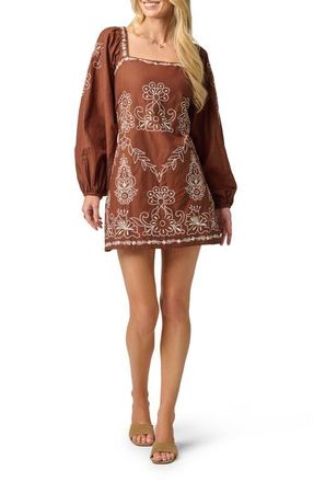 Adrianna Papell Embroidered Long Sleeve Minidress in Chocolate/Ecru at Nordstrom, Size 10
