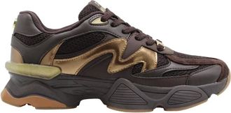 Steve Madden Mujer, Zapatos, Marr&oacute;n, Talla: 38 EU