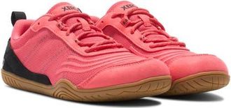 Xero Shoes 360° Cross Training Shoe in Sunset Coral /Black /Gum at Nordstrom, Size 10.5