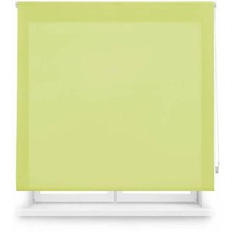 Blindecor Blindecor Ara Tenda a rullo traslucida tinta unita - Verde pistacchio, 160 x 250 cm (Larghezza x Altezza) Dimensioni del tessuto 157 x 245 cm Tenda