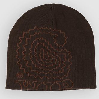 Carhartt Work in Progress Limn C Beanie braun