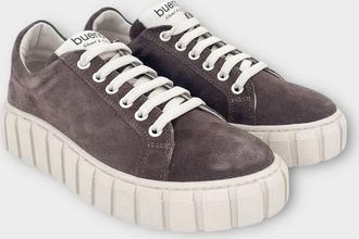 Bueno Womens Talia Platform Sneaker In Espresso Suede