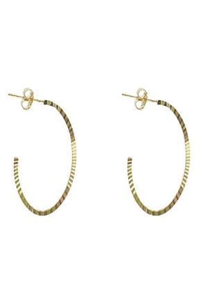 Argento Vivo Diamond Cut Oval Hoop Earrings in Gold at Nordstrom