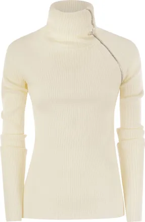Sportmax Sportmax Pinna High Neck Jumper With Zip