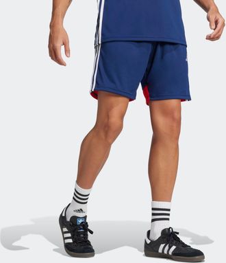 adidas Performance Trainingsshorts