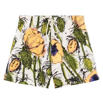 adidas Beachwear, male, Multicolor, L, Althea Shorts