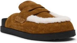 Steve Madden Tomlin Faux Fur Trim Mule in Chestnut Suede at Nordstrom Rack, Size 8