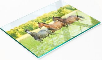 OEM Tabla De Servir De Cristal Para Cocina Con Gr&aacute;fico De Caballos Al Galope, 80x52 Cm