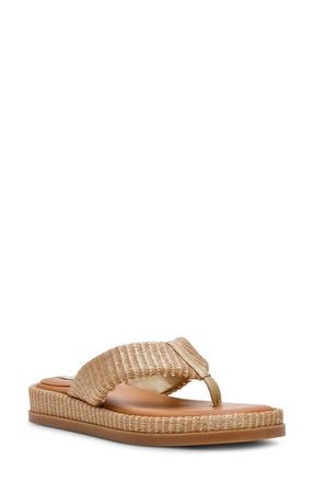 Steve Madden Bella Thong Platform Slide Sandal in Gold Raffia at Nordstrom, Size 8.5