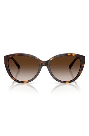 Tiffany & Co. 56mm Cat Eye Sunglasses in Havana/brown Gradient at Nordstrom