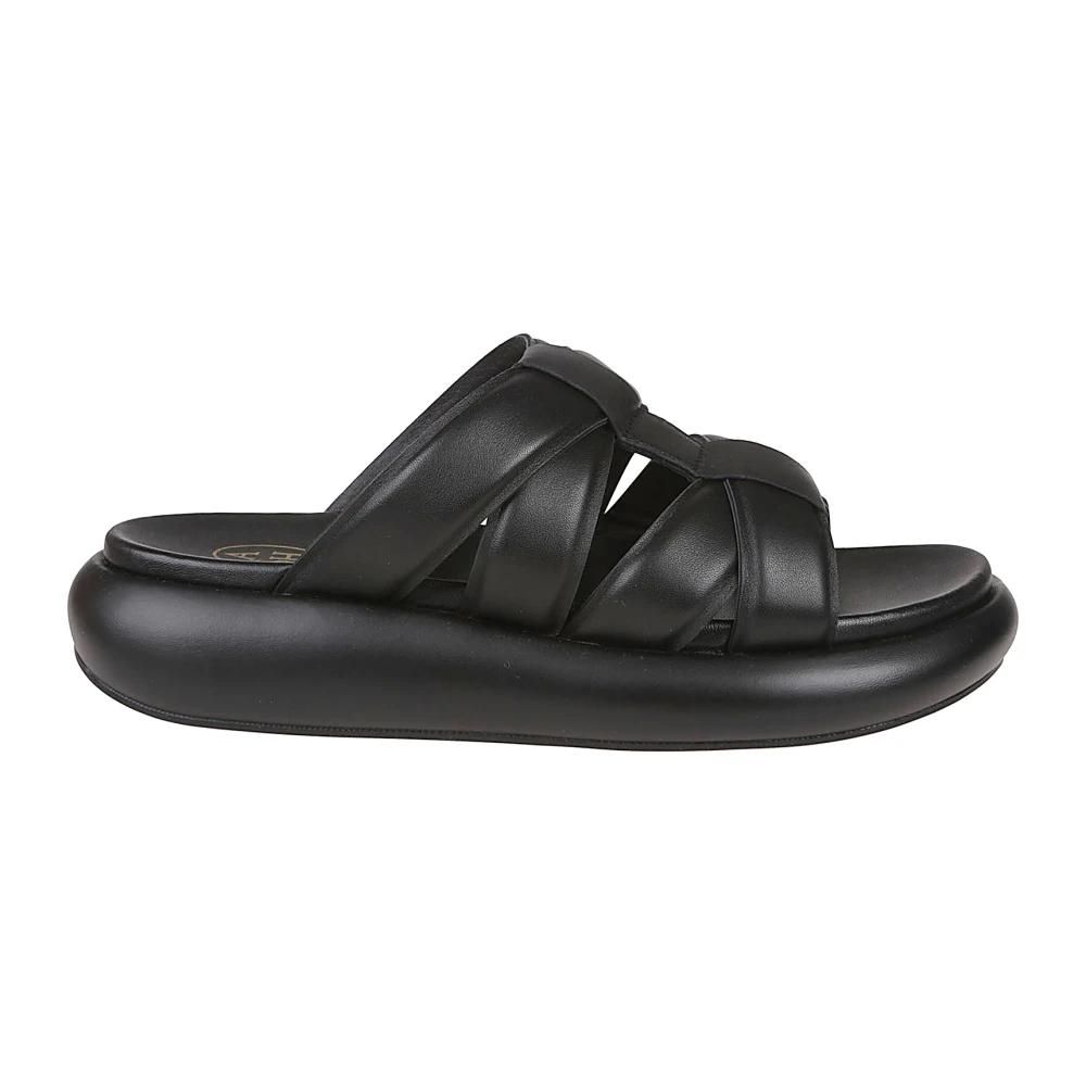 Ash Ash, Femme, Chaussures, Noir, Taille: 41 EU Sandales Élégantes