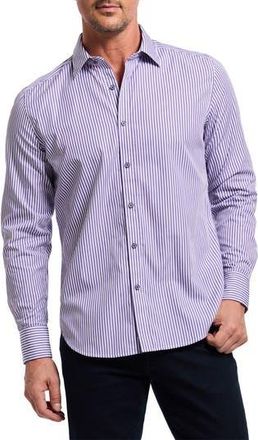 Robert Graham Greenwich Stripe Stretch Button-Up Shirt in Purple at Nordstrom Rack, Size 4X-Large