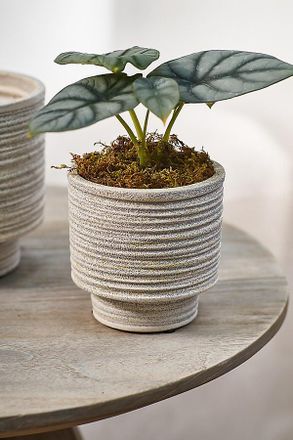 Terrain Ridged Texture Footed Planter, 4.5