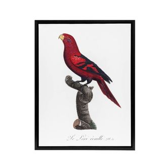 Artery8 The Violet Necked Lory Parrot Levaillant Framed Canvas Wall Art Print in White | Size: W24 x H32
