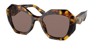 Prada PR 16WSF Asian Fit Polarized VAU05C Womens Sunglasses Tortoiseshell Size 53