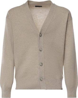 Fay Truien & Vesten, Heren, Beige, M, Wol, V-hals Cardigan
