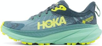 Hoka One One (WMNS) HOKA ONE ONE Challenger ATR 7 GTX Trellis Balsam Green 1134502-TBGRN