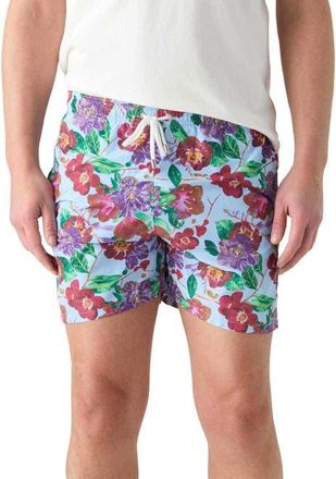 Robert Talbott Connery Drawstring Swim Trunk in Light Blue at Nordstrom, Size Xx-Large