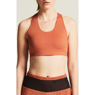 Craft Collective Padded Sports Bra in Sequoia at Nordstrom, Size X-Small