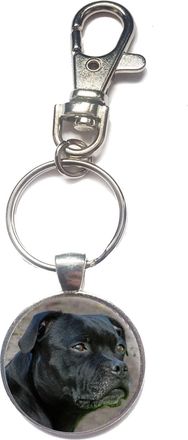 Generic Personalised Staffy Keyring Photo Spring Hook Dog Key Chain Birthday Gift