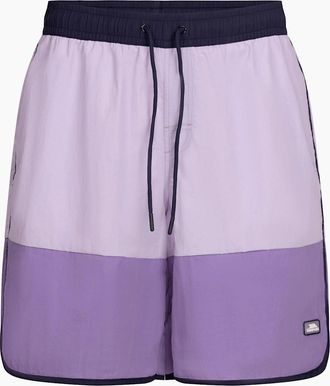 Trespass Mens Trespass Mens Jory Swim Shorts - Purple - Size: 39/38/32