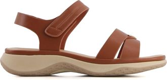 Andrea Womens Ankle Strap With Hook And Loop Closure Sandal In Brown
