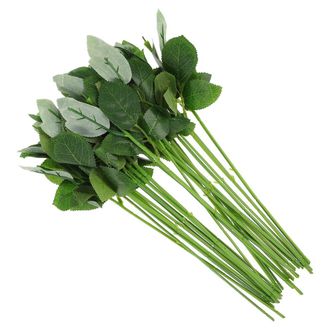 OEM Tallos Y Hojas De Flores Artificiales Verdes, Ramos De Novia Con Rosas Y Hojas Artificiales, 30 Unidades