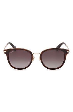 Max Mara 54mm Round Sunglasses in Dark Havana /Gradient Brown at Nordstrom Rack