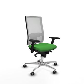 Piqueras y Crespo Piqueras-y-crespo Silla Ergon&oacute;mica Moderna Verde