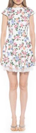 Alexia Admor Aleena Boat Neck Minidress in Ivory Floral at Nordstrom Rack, Size 10