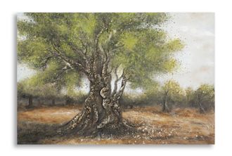 OEM Cuadro Sobre Lienzo Olivo -c- Cm 120x3,8x80