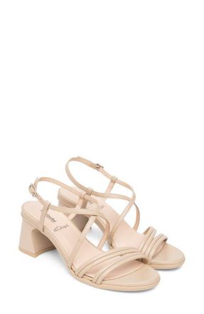 Nero Giardini Strappy Flared Heel Sandal in Latte at Nordstrom, Size 11Us