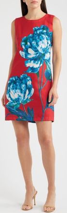 Tahari by ASL Big Flower Sleeveless Sheath Dress in Red Blue at Nordstrom, Size 14