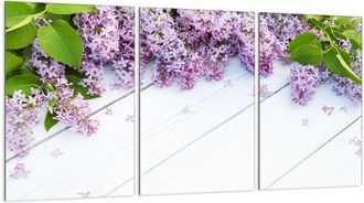 OEM Placa Protectora De Vidrio Para Estufa 3x30x52