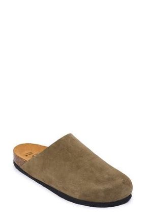 Plakton Brooke Clog in Green Suede at Nordstrom Rack, Size 10Us / 41Eu