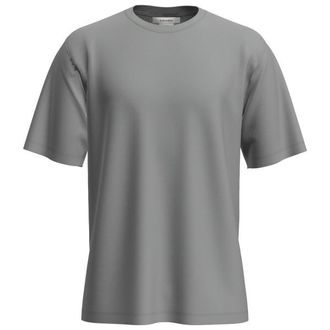 Icebreaker Merino 150 Tech Lite S/S Relaxed Tee Merinoshirt f&uuml;r Herren | grau