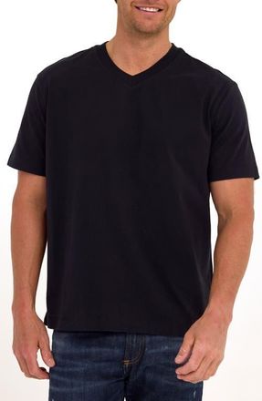 Threads 4 Thought Roger Relaxed Fit V-Neck Cotton Jersey T-Shirt in Black at Nordstrom, Size Xx-Large