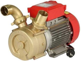 Rover Electrobomba De Vaciado De 50 Mm Rover