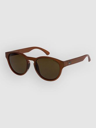 Quiksilver Eliminator Polarized Stone Sonnenbrille brown plz