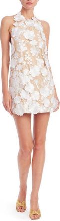 Badgley Mischka Floral Appliqu&eacute; Halter Neck Cocktail Minidress in Ivory at Nordstrom, Size 4